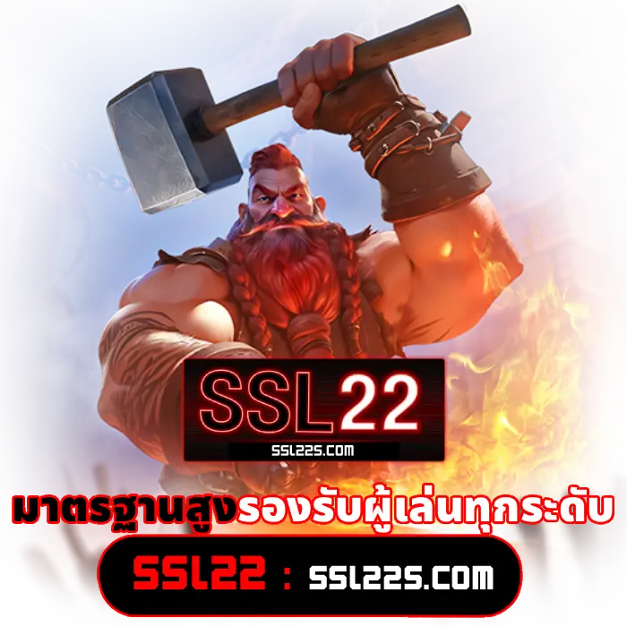 ssl22 (3)